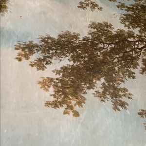 Meet your Posher, Gillian